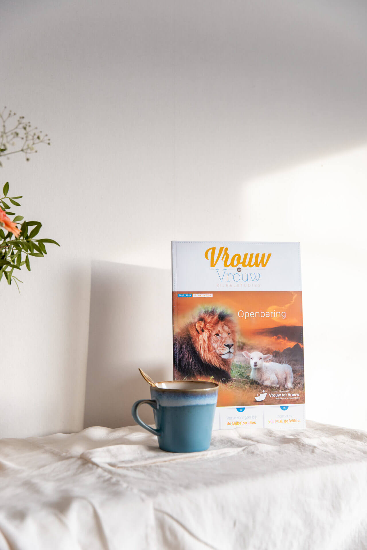 Bijbelstudiemagazine Openbaring